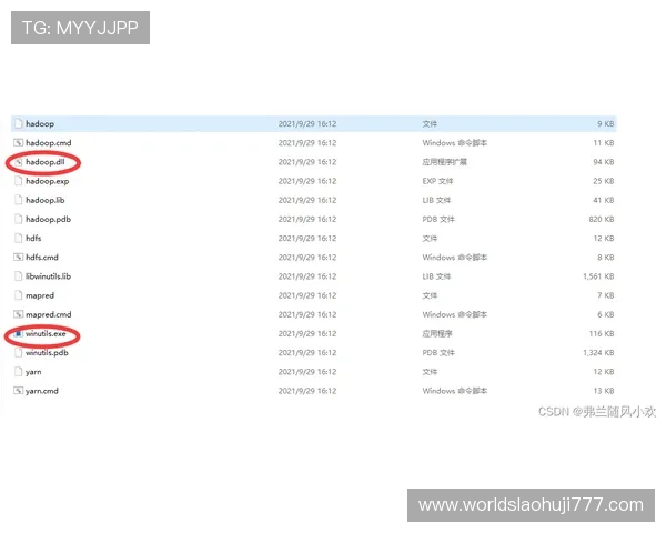 playace官网客服支持服务内容及常见问题解决方案 playace官网客服支持服务内容及常见问题解决方案