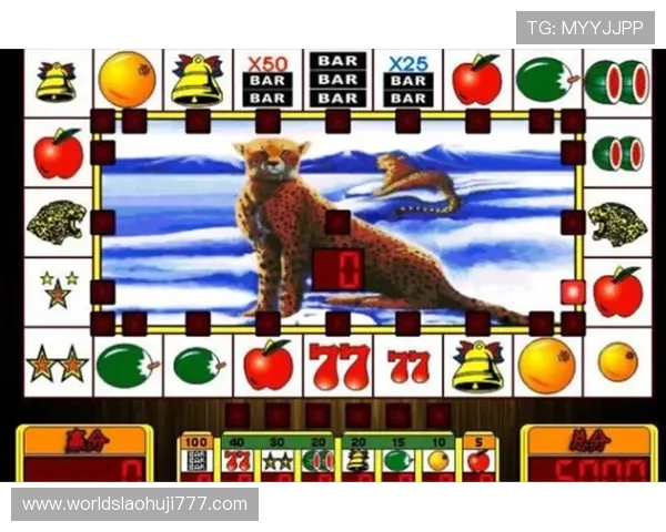 国际老虎机攻略大全：各国老虎机规则、玩法及赢钱秘籍详解