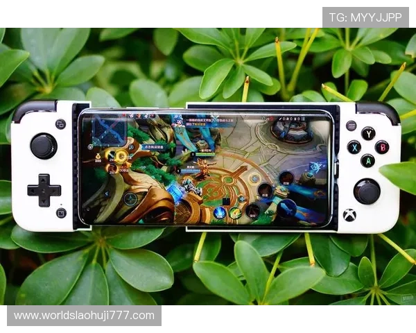 多平台支持的老虎机游戏版，随时随地畅玩不停歇