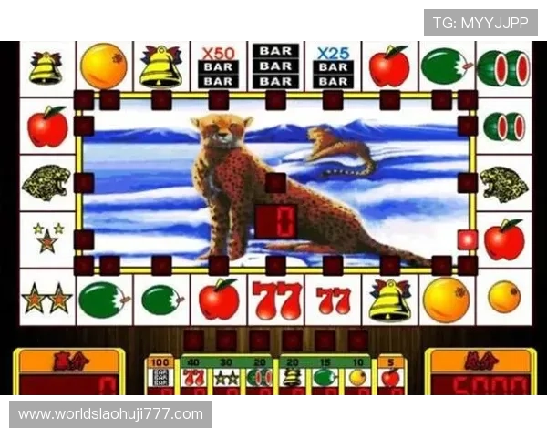 水果老虎机秘诀：如何合理安排游戏时间和资金管理