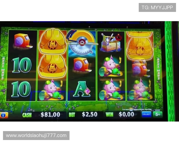 全面解析老虎机平台论坛中的热门游戏玩法与技巧提升中奖率